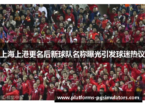 上海上港更名后新球队名称曝光引发球迷热议