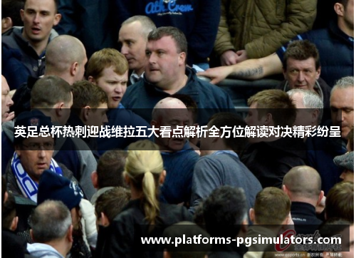 英足总杯热刺迎战维拉五大看点解析全方位解读对决精彩纷呈
