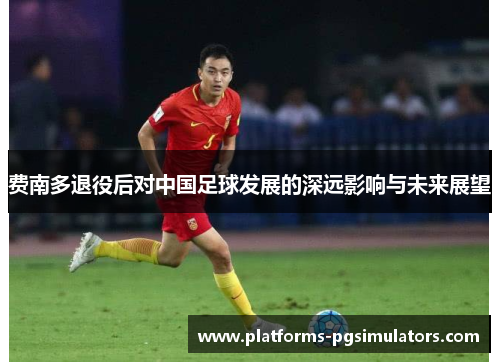 费南多退役后对中国足球发展的深远影响与未来展望