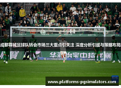成都蓉城足球队转会市场三大重点引关注 深度分析引援与策略布局 成都蓉城足球队转会市场三大重点引关注 深度分析引援与策略布局